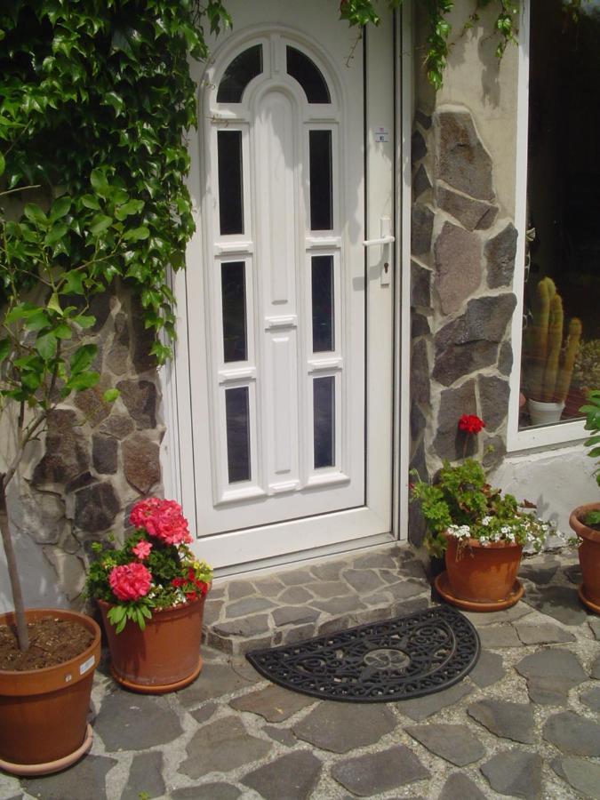 Villa Ametyst Štúrovo Εξωτερικό φωτογραφία